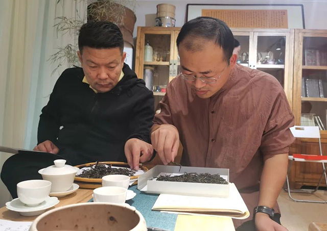 云南茗片老冰塘古树茶品鉴会