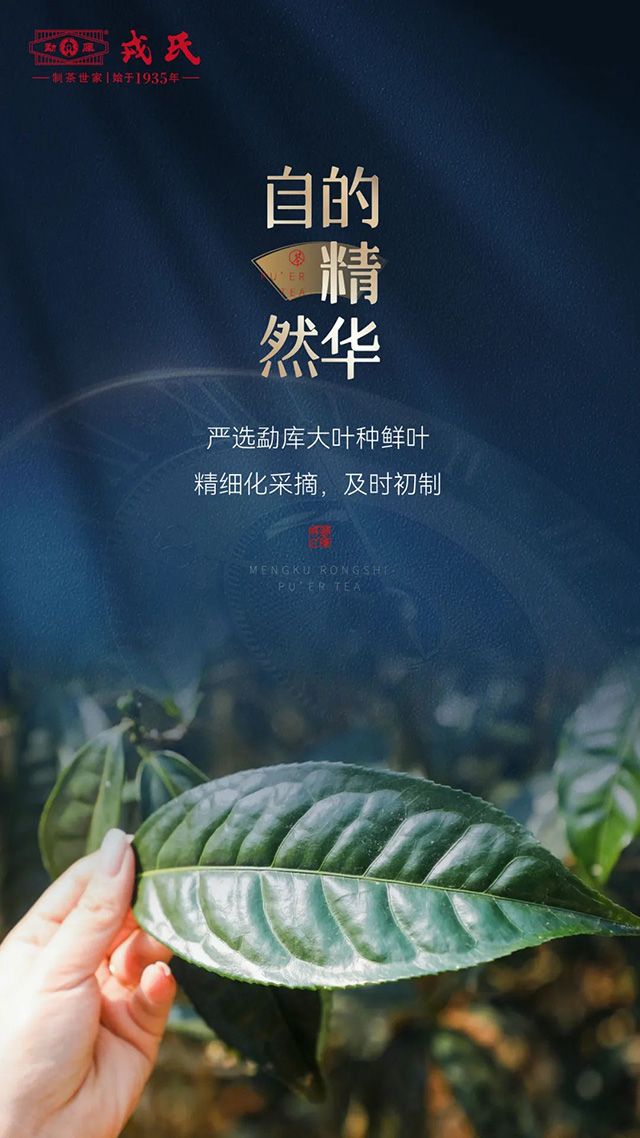 勐库戎氏年份茶普洱茶