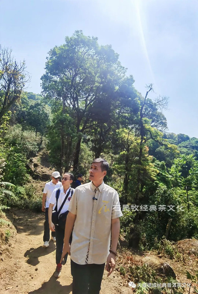 天威德成闲谈二十四周年纪念活动茶品