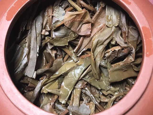 大益中期茶101银孔雀普洱茶品质特点