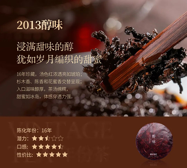 津乔普洱年份熟茶品鉴