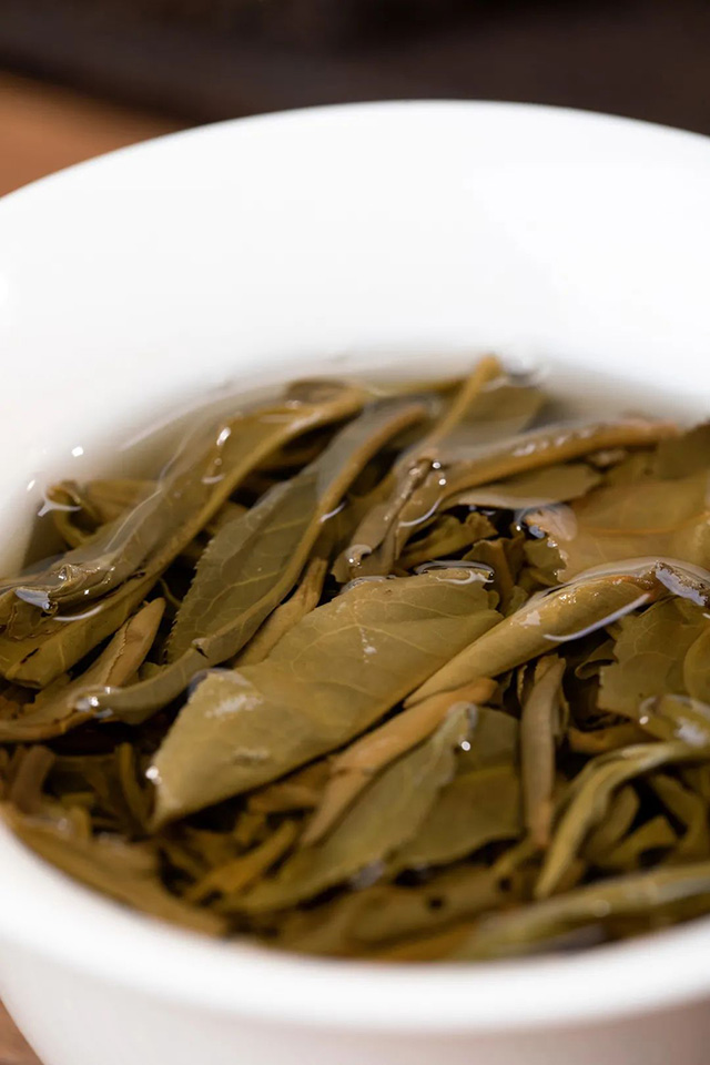 老同志瑶柱普洱茶