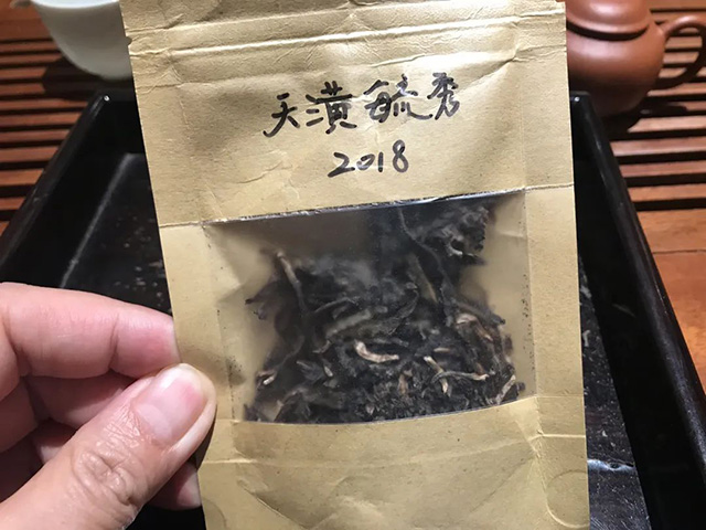 雨林古茶品鉴