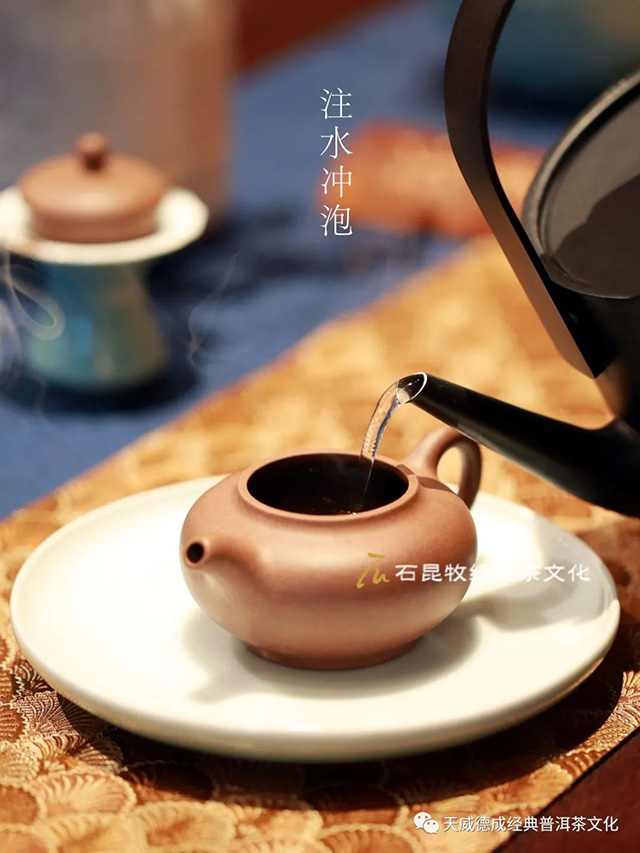 天威德成2023年守黑普洱茶品质特点