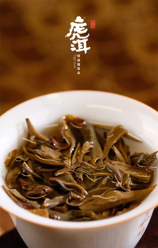 宝和祥森林茶之王虎洱TP-001品质特点