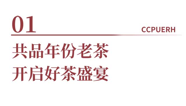 双陈开仓节狂欢盛宴华南区专场