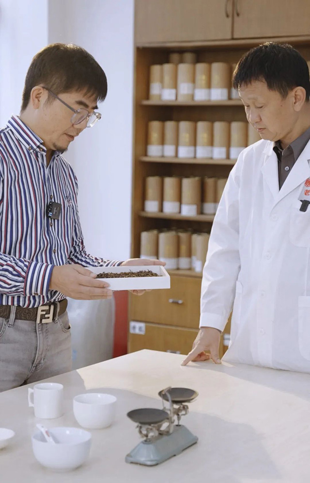 老同志金瓜贡茶福瓜普洱茶品质特点