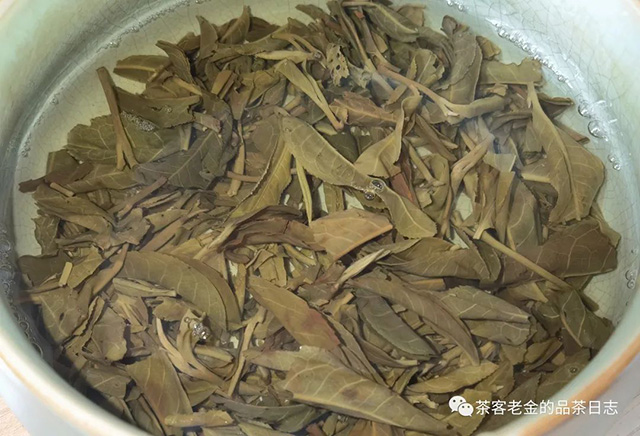 2008年忙肺古树茶