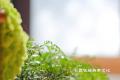 【茶会分享】秋日红茶，温润身心
