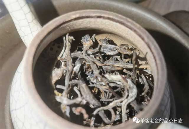 孙德忠2019年迷帝小树普洱茶