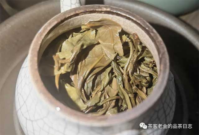 孙德忠2019年迷帝小树普洱茶