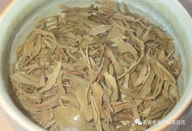 孙德忠2019年迷帝小树普洱茶