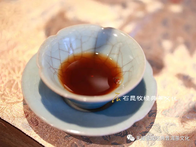 天威德成新品2023守黑熟茶尝鲜茶会