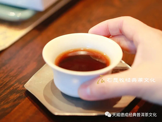 天威德成新品2023守黑熟茶尝鲜茶会