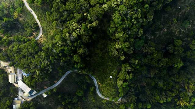 老同志巅峰之作入山里系列普洱茶品质特点