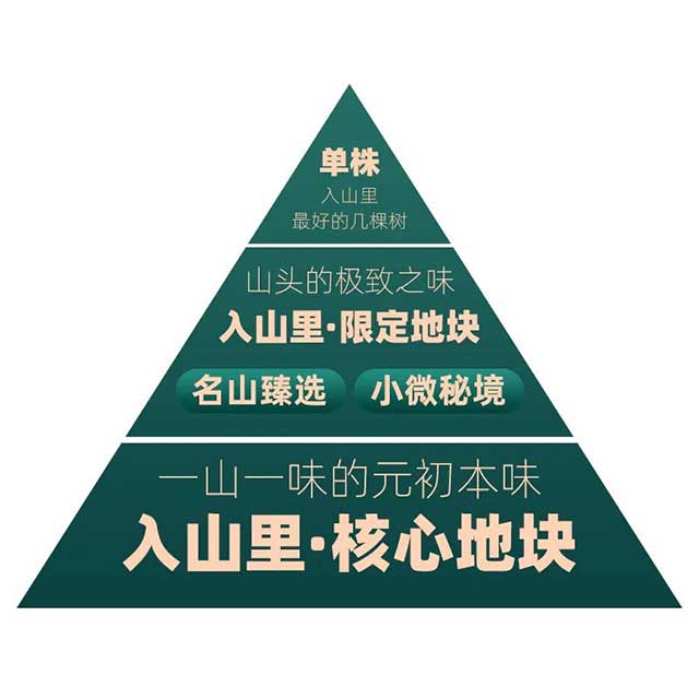 老同志巅峰之作入山里系列普洱茶品质特点