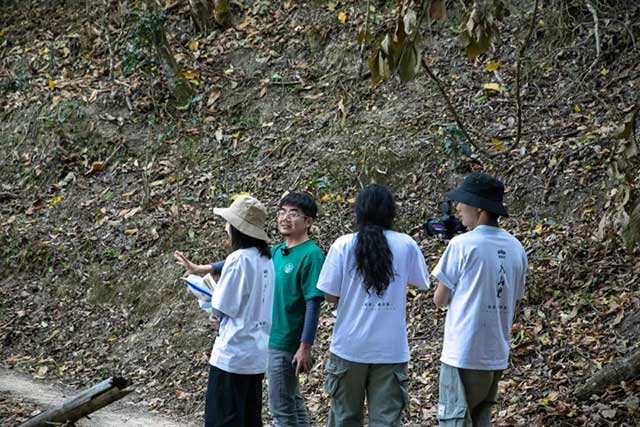 老同志巅峰之作入山里系列普洱茶品质特点