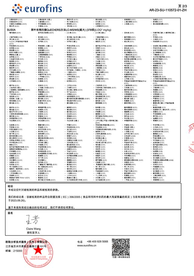 芒嘎拉古茶1988公斤老班章原料正式下堆