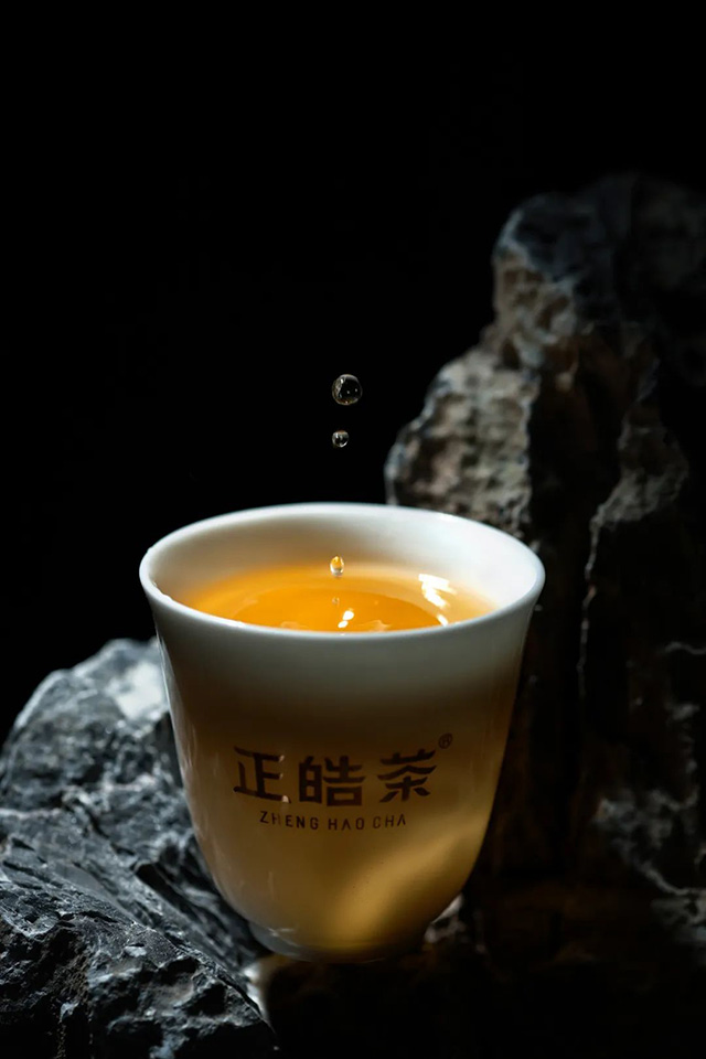 正皓高山仰止普洱茶