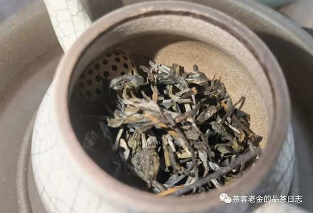 吾茶共饮2023年凤箫普洱茶