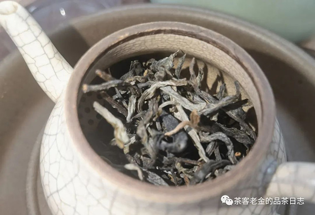 吾茶共饮2023年菁瑶普洱茶