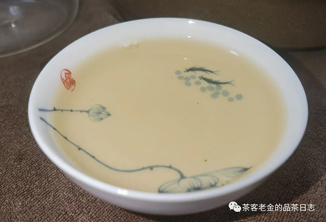 吾茶共饮2023年菁瑶普洱茶