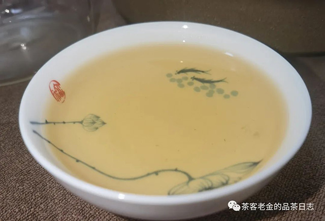 吾茶共饮2023年菁瑶普洱茶