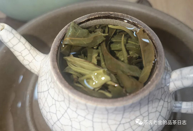 吾茶共饮2023年菁瑶普洱茶