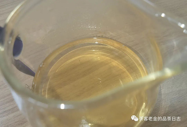 吾茶共饮2023年菁瑶普洱茶