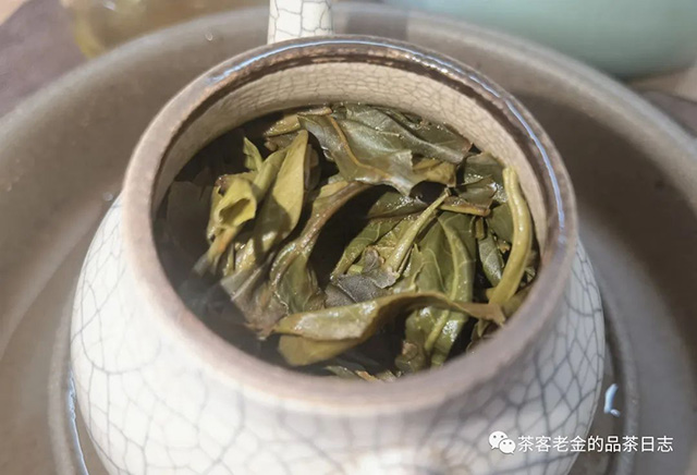 吾茶共饮2023年菁瑶普洱茶