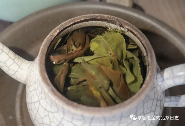 吾茶共饮2023年菁瑶高杆秋茶普洱茶