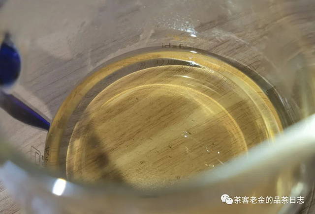 吾茶共饮2023年菁瑶高杆秋茶普洱茶