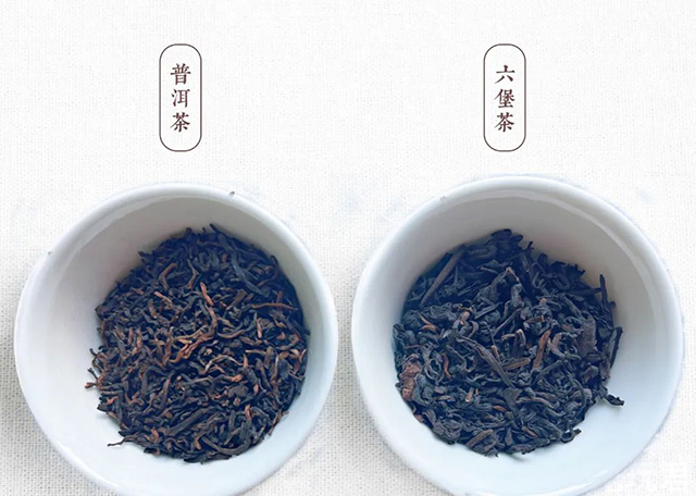 普洱茶与六堡茶