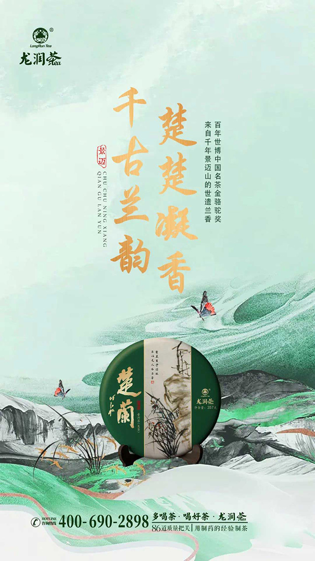2023龙润茶楚兰普洱茶品质特点