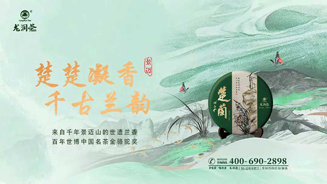2023龙润茶楚兰普洱茶品质特点