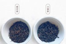 素描普洱茶：黑茶都发酵，六堡茶&普洱熟茶有什么不同？