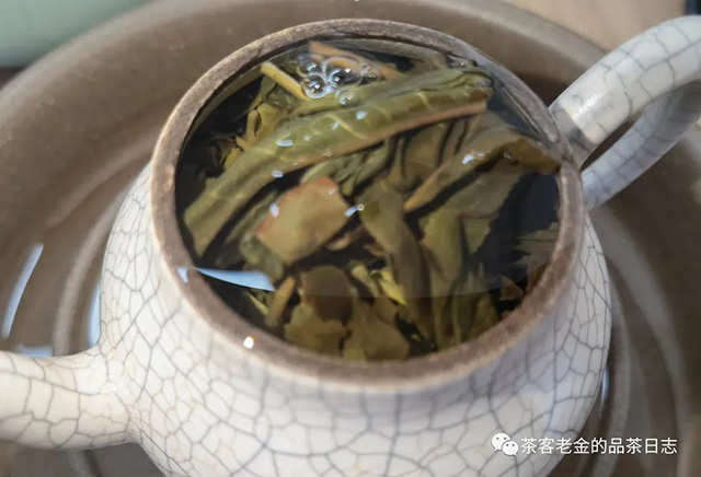 吾茶共饮2023年云屏丹青普洱茶