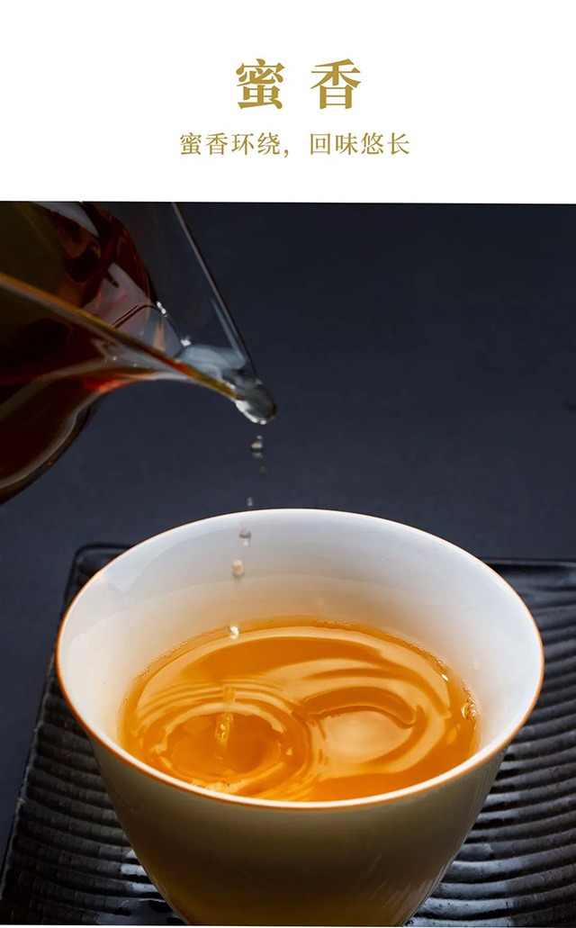云南龙润茶业