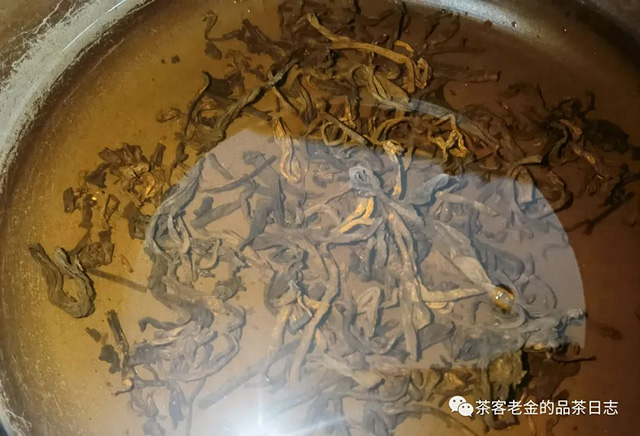 吾茶共饮如悟普洱茶