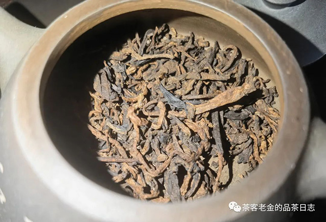 吾茶共饮如悟普洱茶