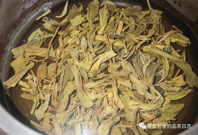 吾茶共饮如悟普洱茶