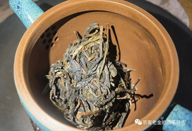 吾茶共饮如悟普洱茶