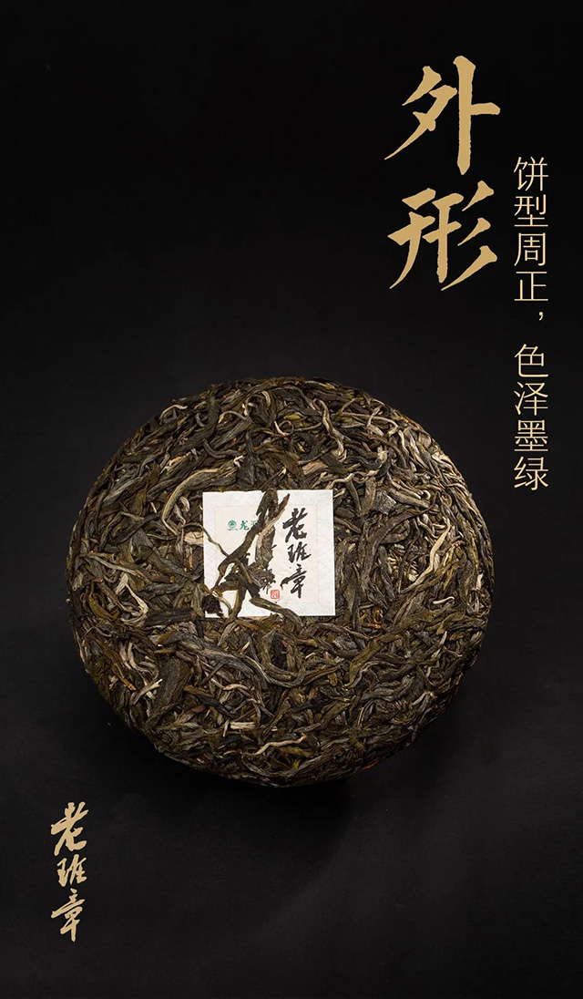 云南龙润茶业