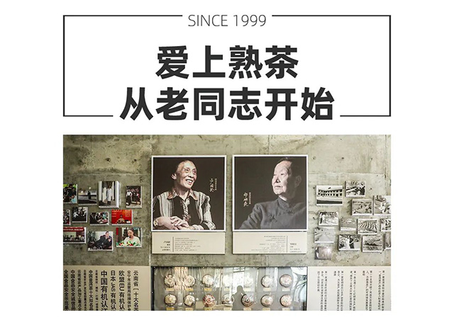 海湾茶业创业24周年庆典活动直播至终场