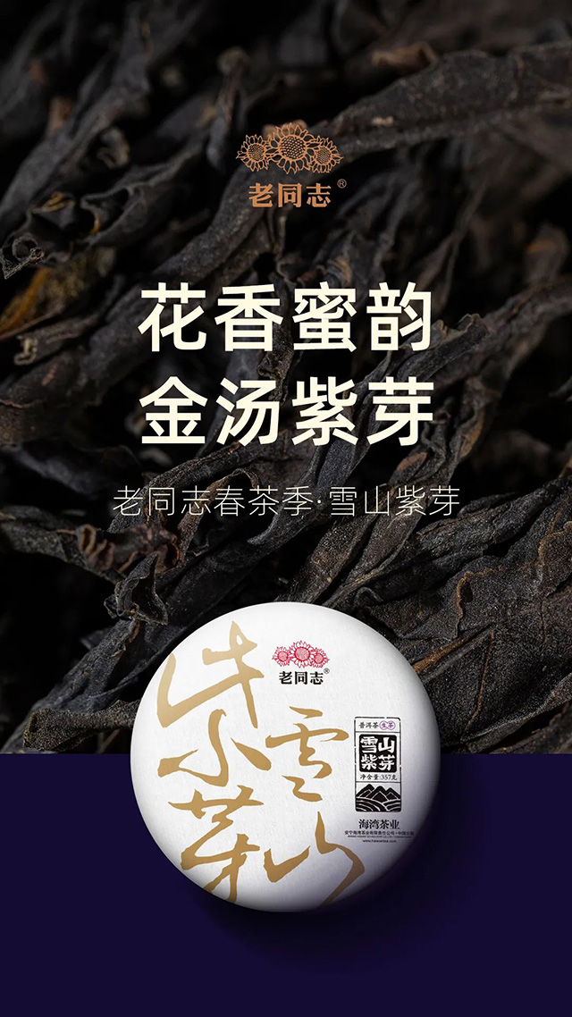 老同志旗舰店十周年店庆年份老茶天猫首次开仓