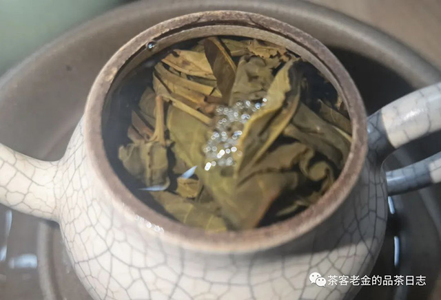 陈永珍2023年刮风寨白沙河古树头春普洱茶
