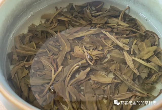 临沧制茶人茶王赛普洱茶品质特点