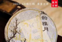 【品茶分享】梅骨沉香——2006玉韵雅月·梅