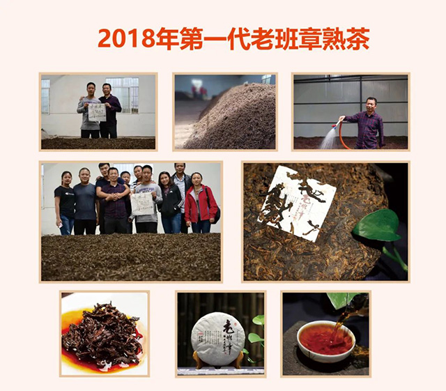 芒嘎拉第二代老班章熟茶