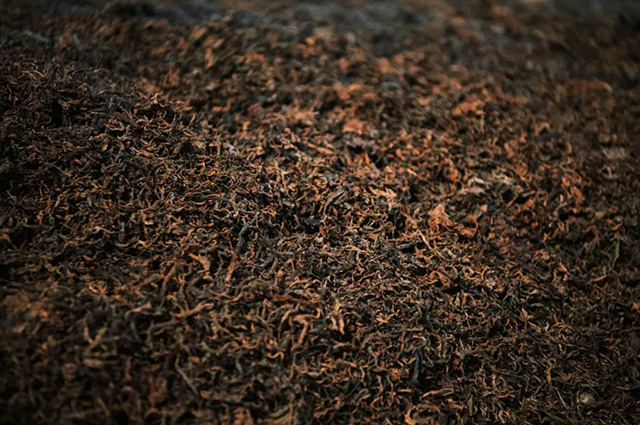 芒嘎拉第二代老班章熟茶